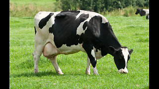 Sabrina Wallace: Medical Body Area Precision Network (2014)