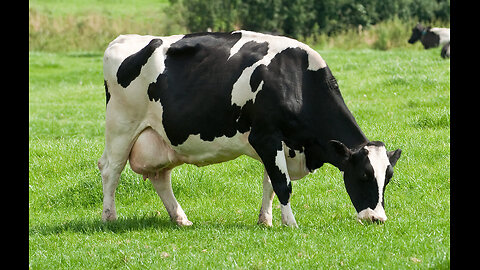 Sabrina Wallace: Medical Body Area Precision Network (2014)