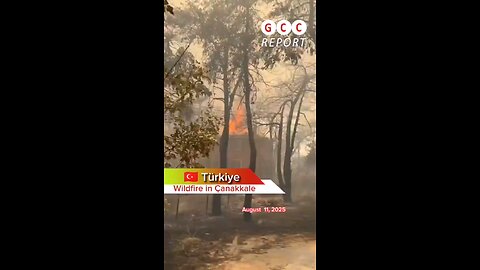 #Türkiye #Çanakkale #wildfire #forestfire #naturaldisasters #anomaly #climatechange