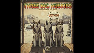 🎵🎶🎶🎙️🐾 Three Big Huskies