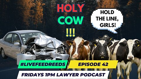 #LiveFeedReeds - Episode 42 - Holy COW!