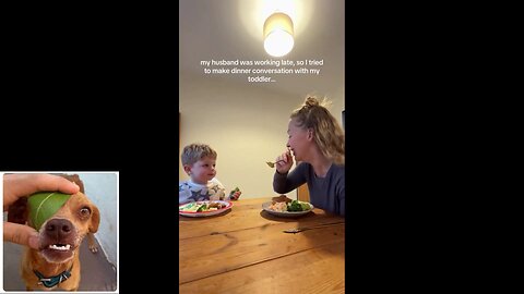 Funny videos compilation 15