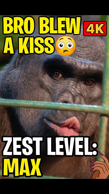 When King Kong wanna be Queen Kween