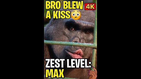 When King Kong wanna be Queen Kween