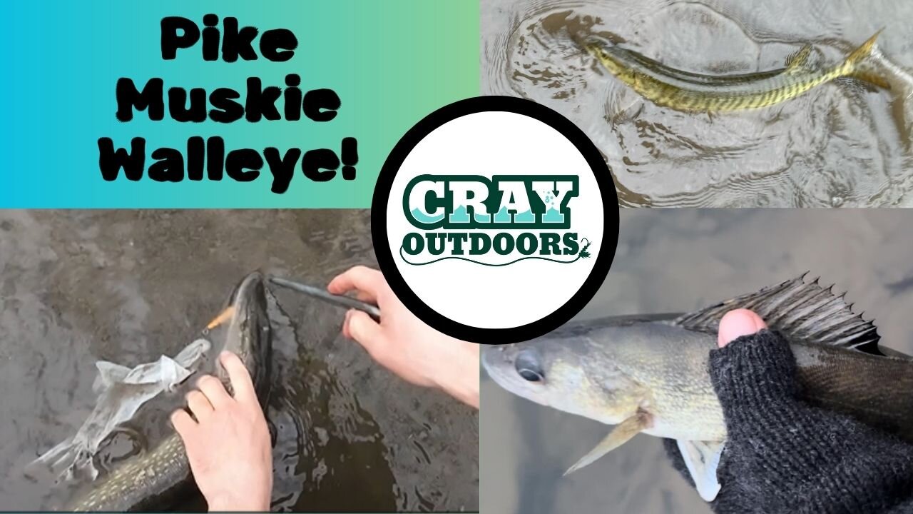 Pike, Muskie, Walleye TRIFECTA! (February fishing in WNY!)