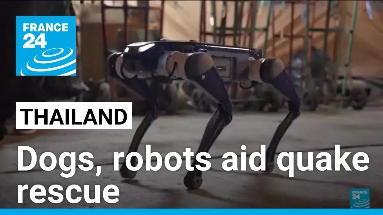 Dogs and robots take lead in Thailand's rescue efforts after quake fells building