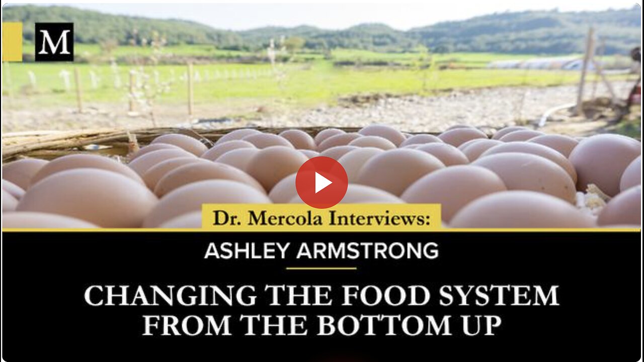 Changing the Food System From The Bottom Up - Interview with Ashley Armstrong