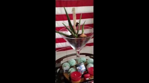 making potting soil using coffee grounds and making a pot for my catcus