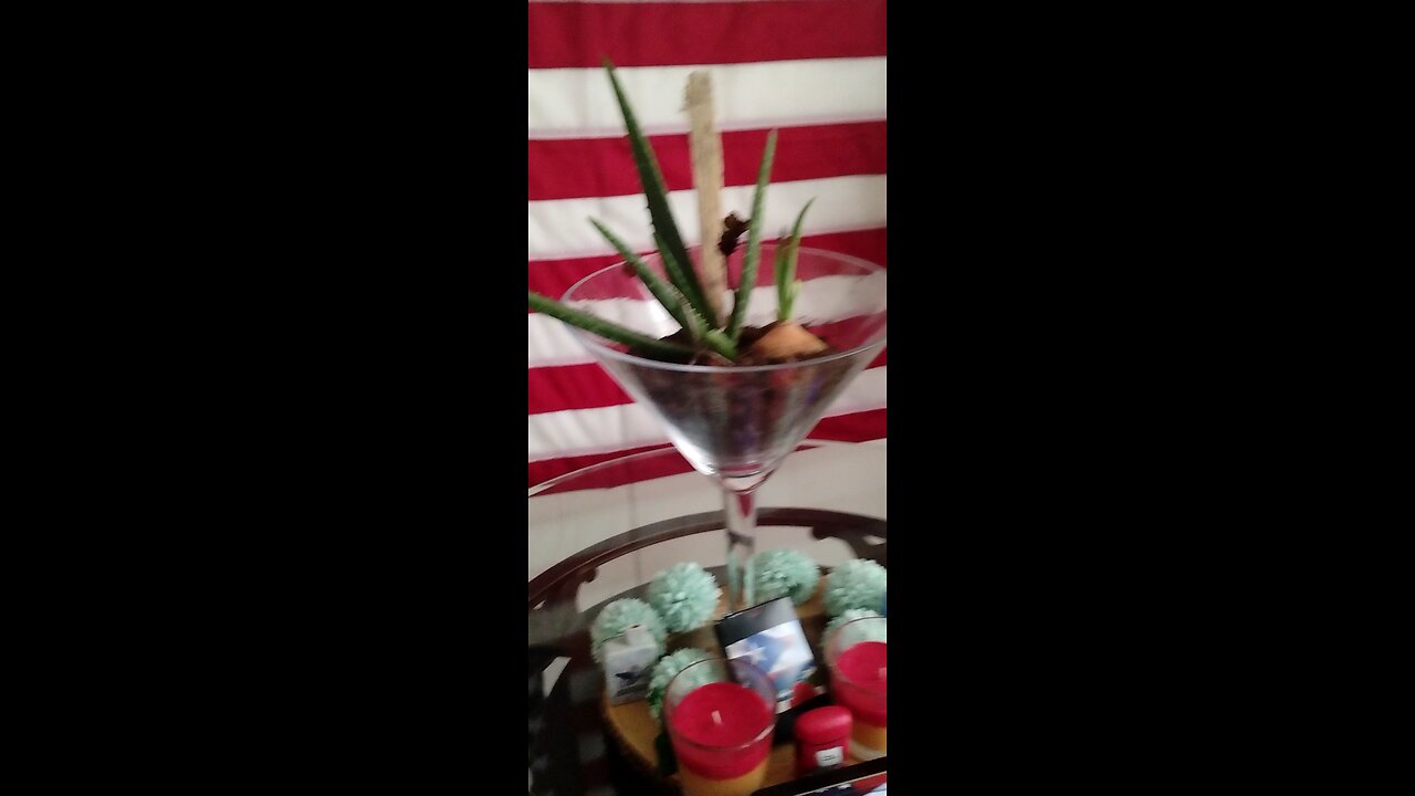 making potting soil using coffee grounds and making a pot for my catcus