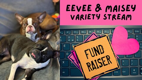 PUPPY FUNRAISER! (Variety Rage Gaming)