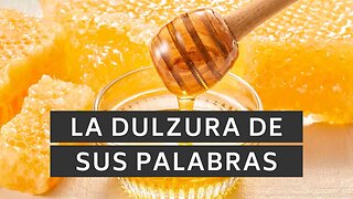 🍯 ️La dulzura de sus palabras | Salmos 119:103