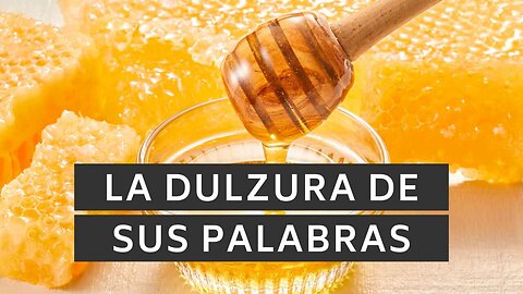🍯 ️La dulzura de sus palabras | Salmos 119:103