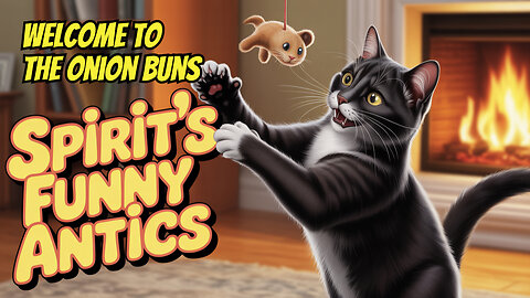 Funny Beloved Pet Stories, Spirit Wanted To Play So Badly