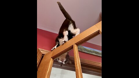 Episode 3059 CWSA 01/01/26