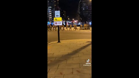 Why Are There Troops in Washington D.C.?
