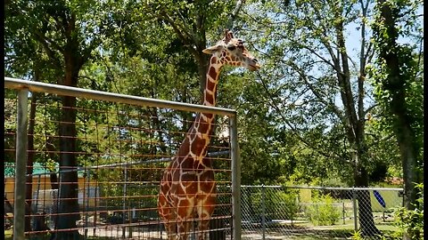 From Ocean Sand To Wilmington Zoo