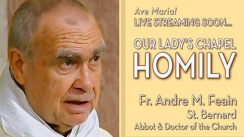 Saint Bernard, Abbot & Doctor of the Church - August 20, 2025 - OLC HOMILY