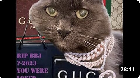 KC 20251123 Kalari's Chat- As A Former Supporter, I Want To Say My Piece and Be Done.