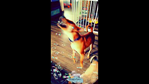 bubbles