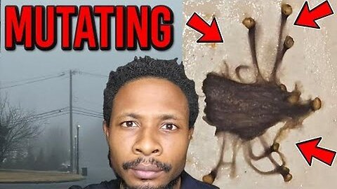 HYDRA-LIKE CREATURE FOUND IN CHILD’S VOMIT? FOG RETURNS SILENTLY - JW Tv