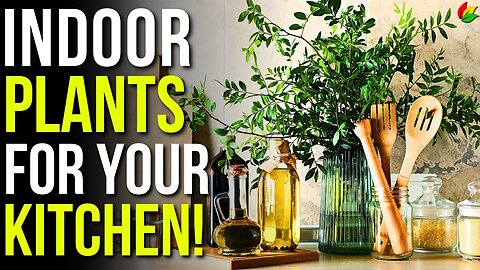 Transform Your Cooking Space with 10 Stunning Ornamental Plants! G27