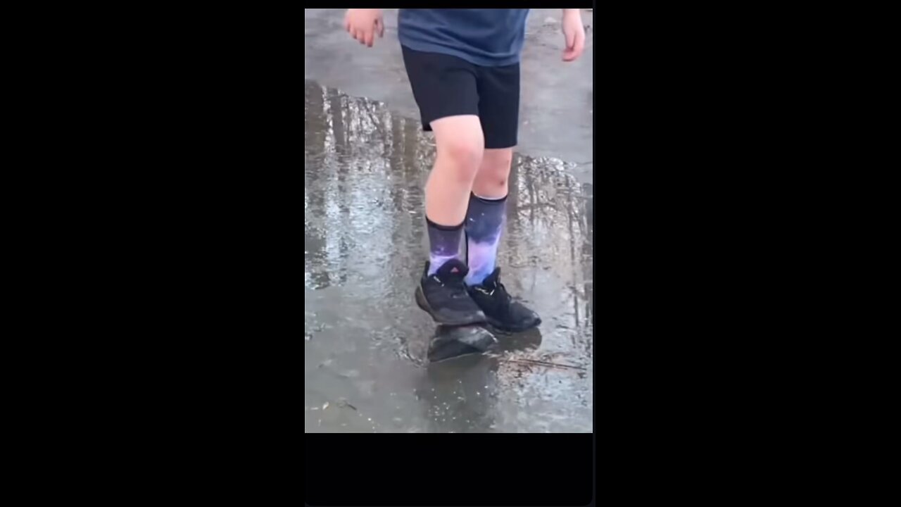 Funny videos
