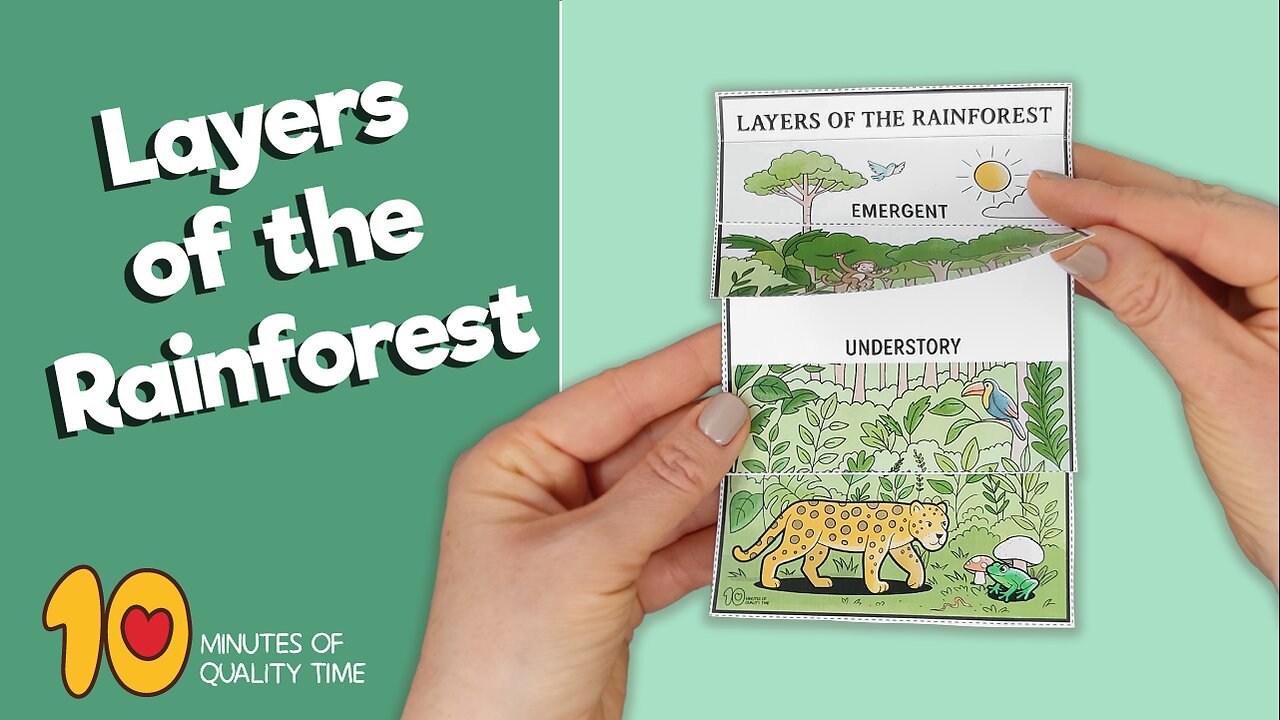 Layers of the Rainforest Flipbook Craft