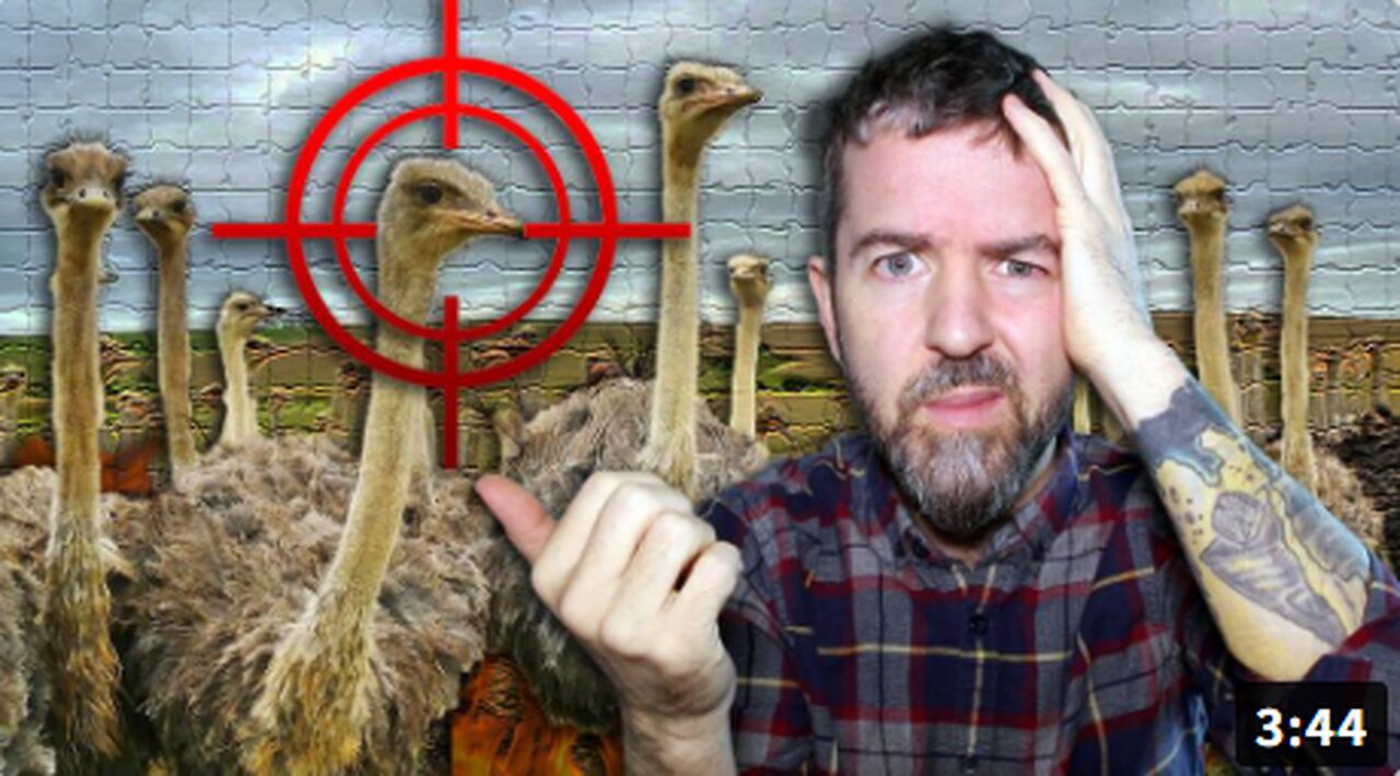 The CULL Is Complete The Ostriches Are GONE The CFIA SHOT & KILLED THEM All In The Dead Of The Night