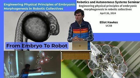 Engineering Physical Principles of Embryonic Morphogenesis in Robotic Collectives