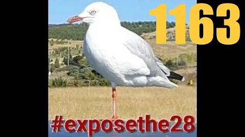 Truth, know how powerful it is #exposethe28 #exposechildtrafficking (ft Kane Obz & Ilaina)