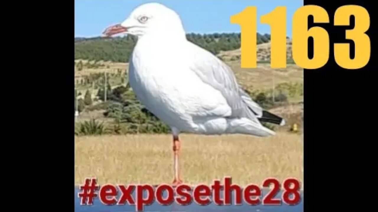 Truth, know how powerful it is #exposethe28 #exposechildtrafficking (ft Kane Obz & Ilaina)