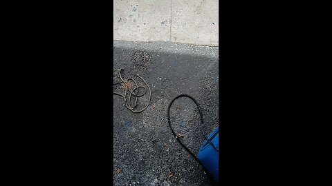 loading bolt back on trailer