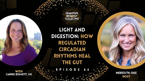 EP 066: Light & Digestion: How Regulated Circadian Rhythms Heal The Gut