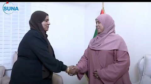 Dr. Nawara reviews the Supreme Council for the Environment's plan for the post-war period
