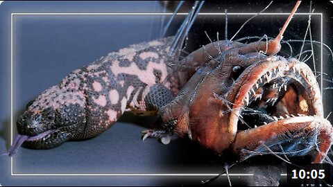 VIDEO: Trump Promotes Poisonous Gila Monster & Anglerfish Toxin In Press Conference Revealing Ozempic Drug Price Cuts
