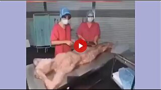 Why I don't eat at McDonald's. Human meat in their products was a real issue