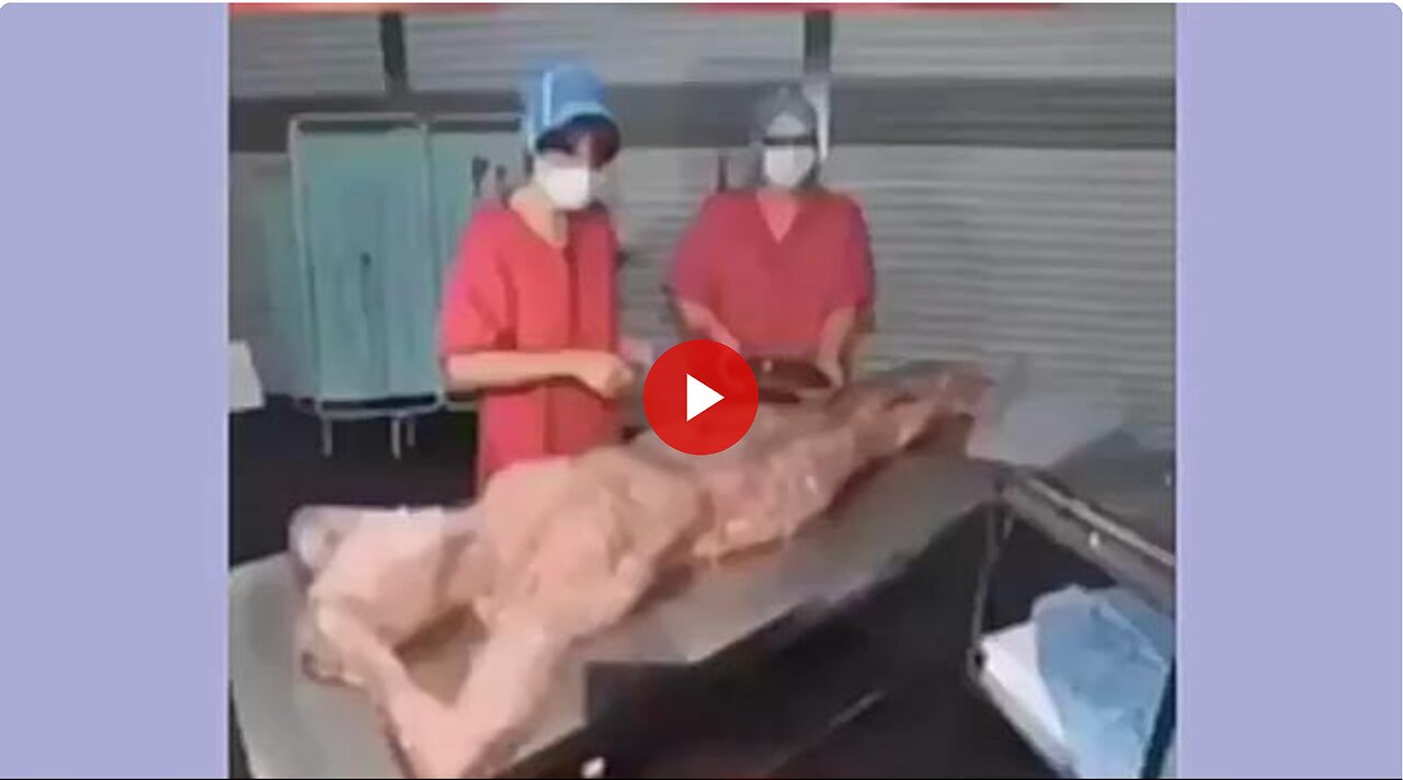Why I don't eat at McDonald's. Human meat in their products was a real issue