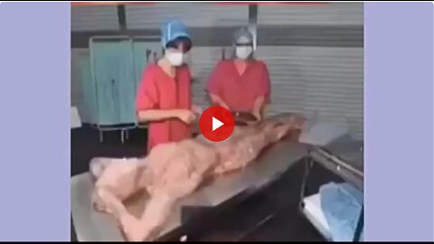 Why I don't eat at McDonald's. Human meat in their products was a real issue