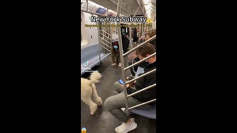 Subway in NYC are another world