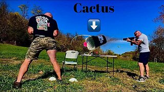 Cactus Cannon Pain Experiment!!!
