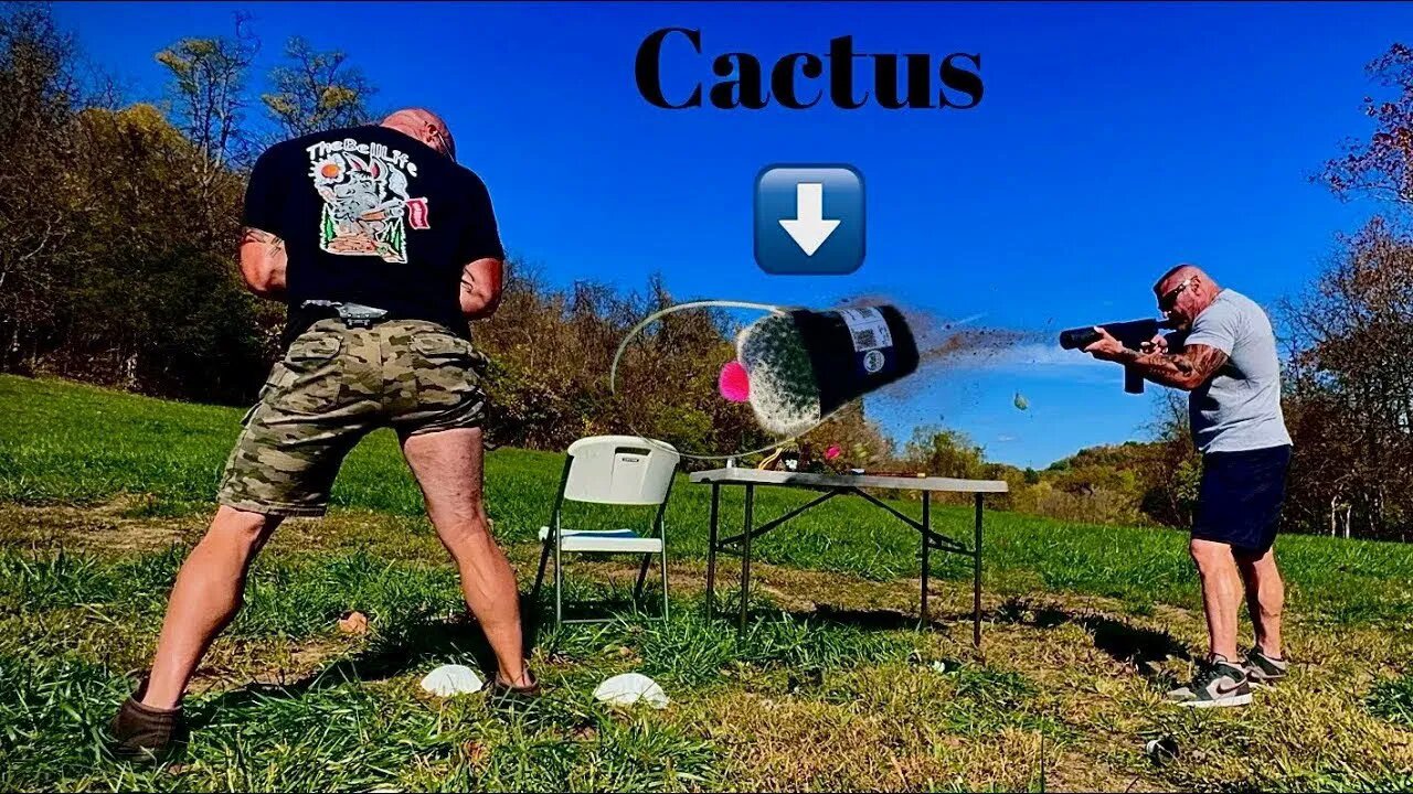 Cactus Cannon Pain Experiment!!!