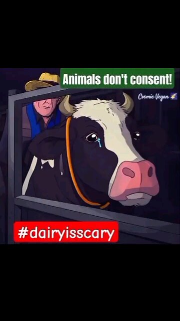 ANIMALS DON'T CONSENT 🚫💔🐮😓🫣#dairyisscary 👎👿