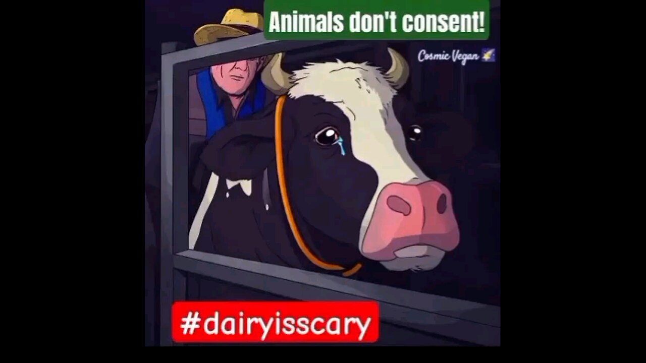 ANIMALS DON'T CONSENT 🚫💔🐮😓🫣#dairyisscary 👎👿