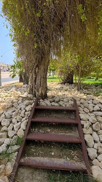 some time need space.and peace 🕊️