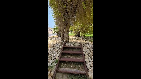 some time need space.and peace 🕊️
