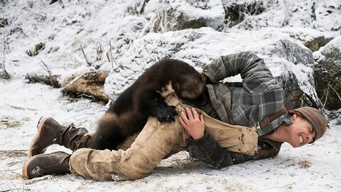 Crazy Animal Attacks
