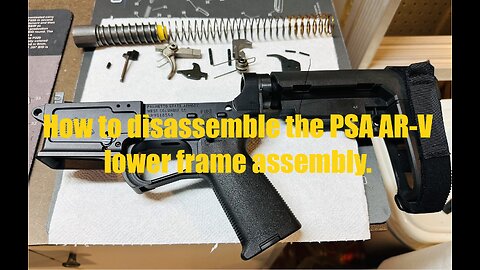 Palmetto State Armory AR-V 9mm pistol - complete disassembly frame trigger sear & fire control parts