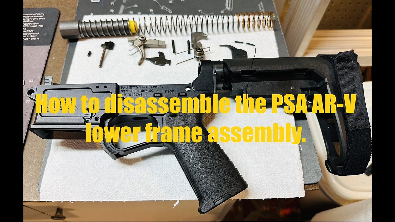 Palmetto State Armory AR-V 9mm pistol - complete disassembly frame trigger sear & fire control parts