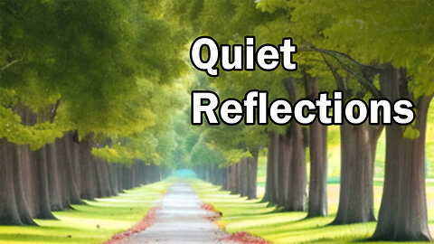 Quiet Reflections | FPV Walk Through a Tree Alley