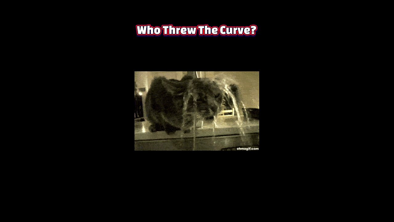 Fur-ocious Resistance: The Soggy Truth Behind Why Cats Hate Water